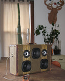 "Oscar the Grouch" Vintage Suitcase Boombox
